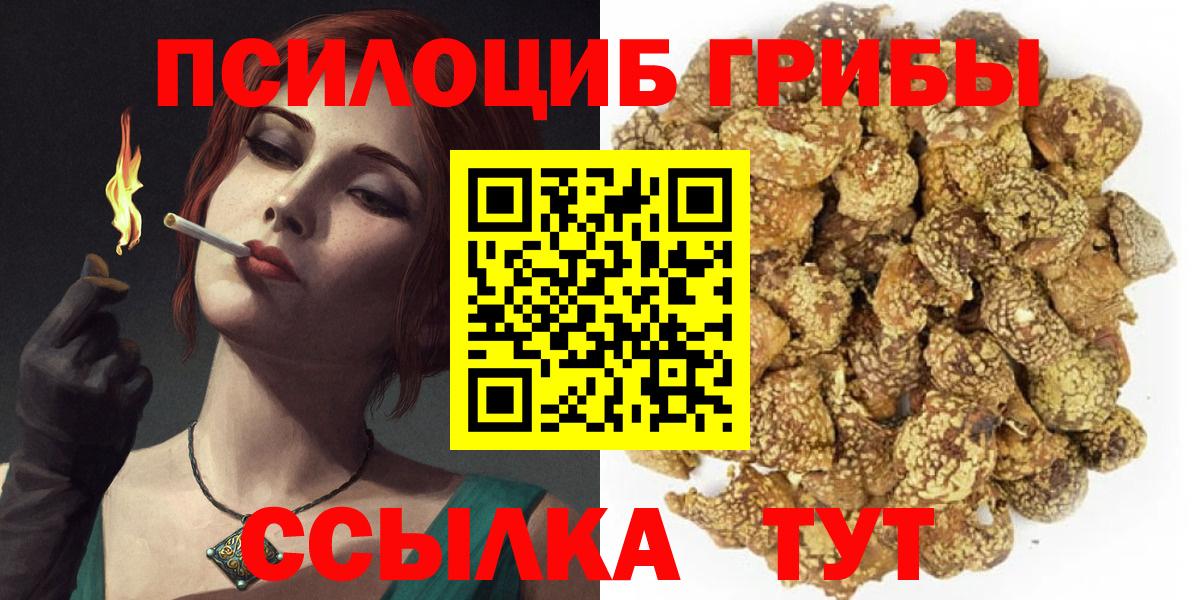 Псилоцибиновые грибы Psilocybine cubensis  Галлюциногенные грибы мицелий  Вход с VPN  Шадринск 